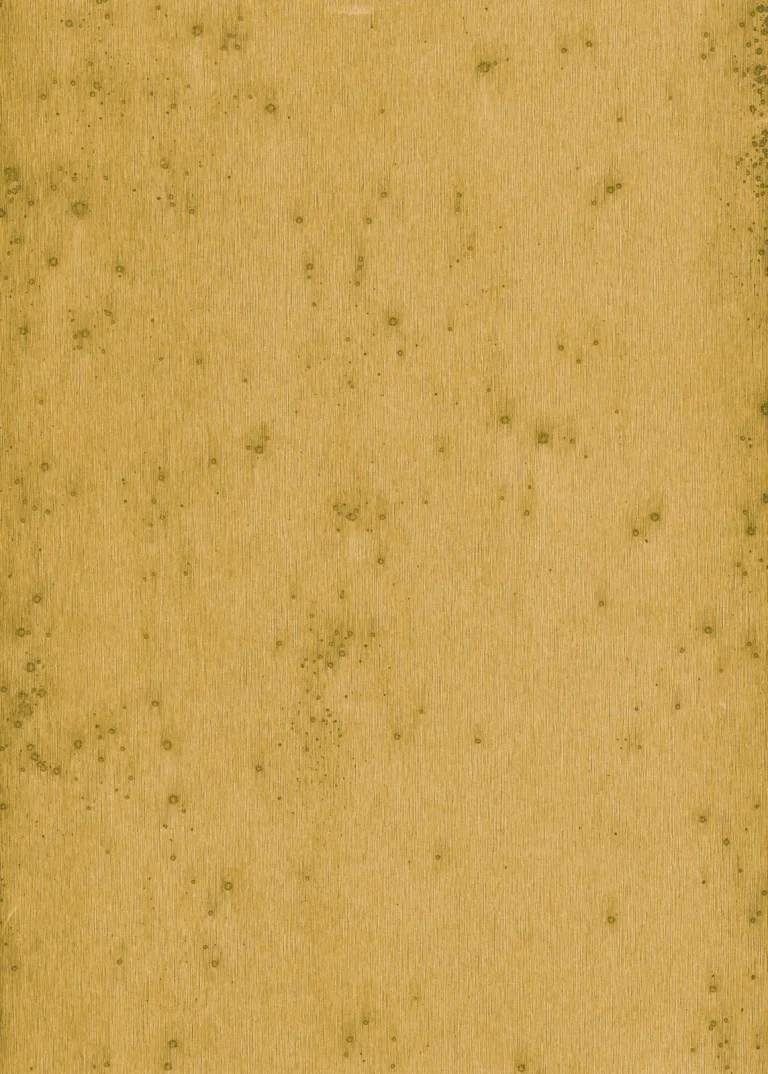 Stellar 37519 — Ảnh 4