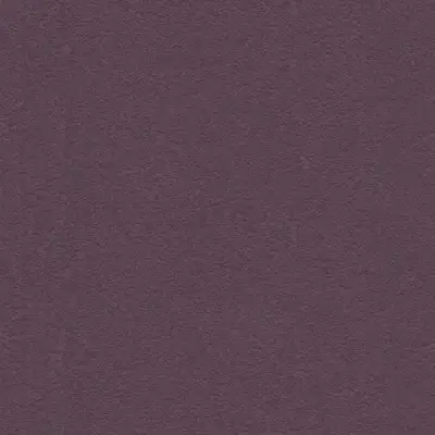 The Basic - Purple Red Tone