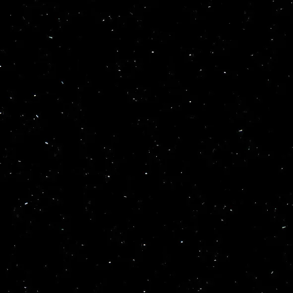 P004 PERNA BLACK
