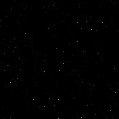 P004 PERNA BLACK