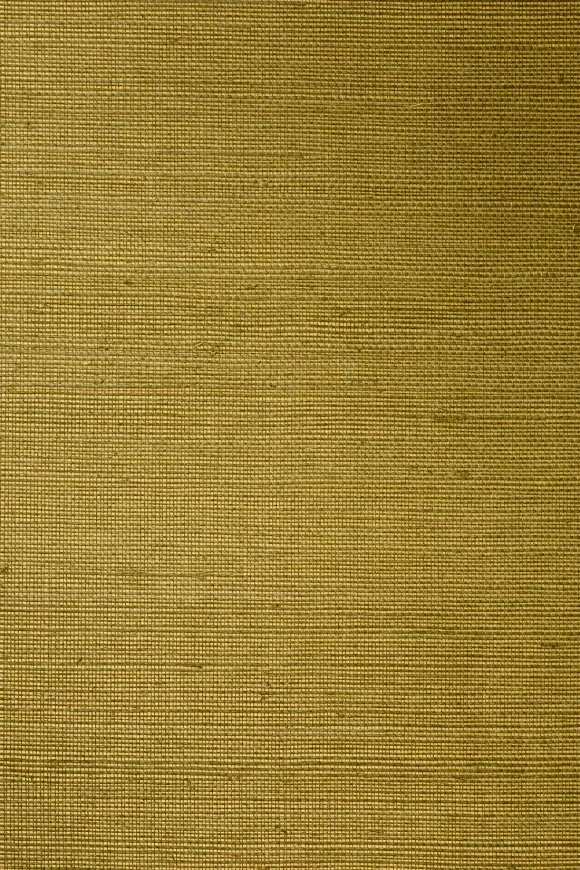 Line Gold Olive - 72745 — Ảnh 2