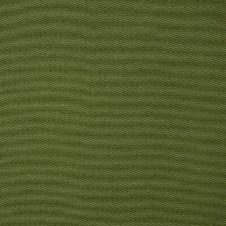 CANVAS PALM