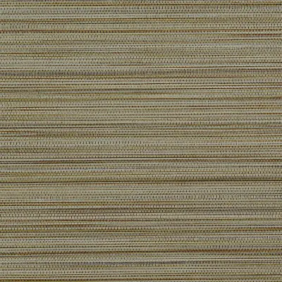Vinyl Strie