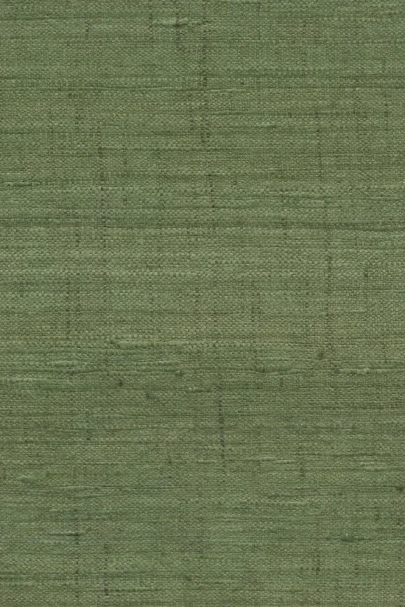 Ghicha Silk Moss — Ảnh 2