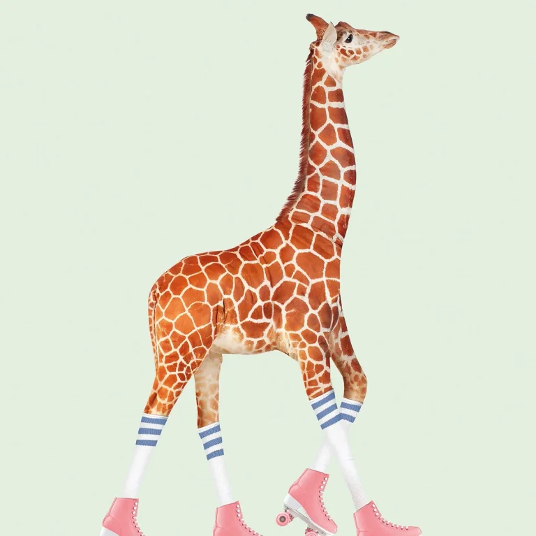 Rollerskating Giraffe - Wall Mural 5471 - 4 Panel - 192cm x 260cm — Ảnh 2