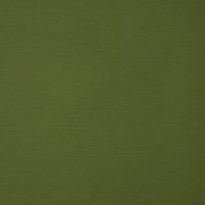 CANVAS PALM