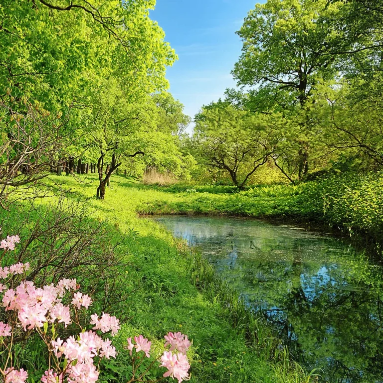 Park in the Spring - Wall Mural 5408 - 4 Panel - 192cm x 260cm — Ảnh 4