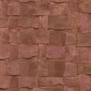 Alba Nutmeg — Ảnh 2