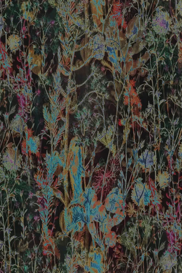 Wildflower 29540 — Image 4