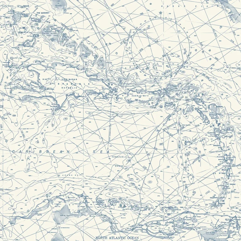 Chesapeake Charts Nautical Chart Wallpaper - Navy — Ảnh 4