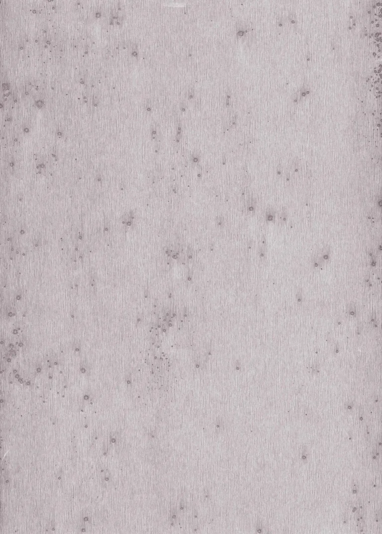 Stellar 37505 — Ảnh 4