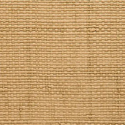 Vinyl Island Raffia