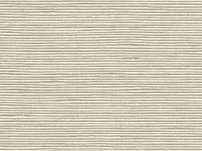 Stripe Sequin Weaving 20020713