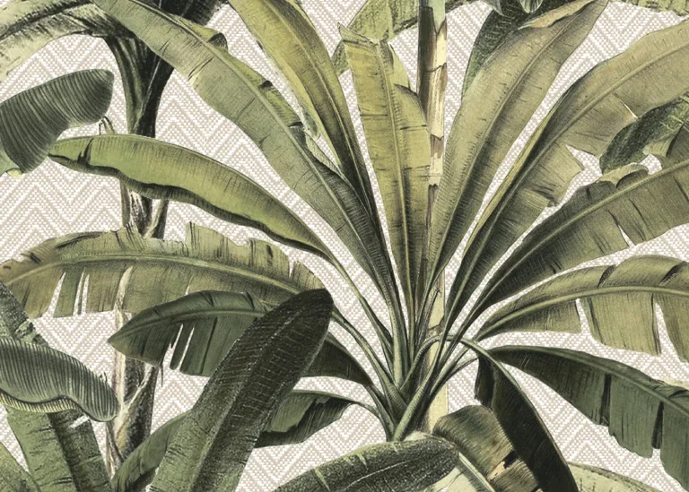 Palmera 11140 — Ảnh 4