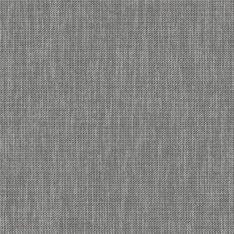 VELUM MOUSE