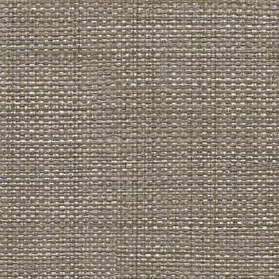 Vinyl Max's Metallic Raffia