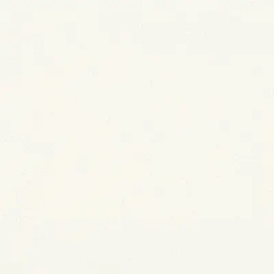 The Basic - White Beige Tone PT.02