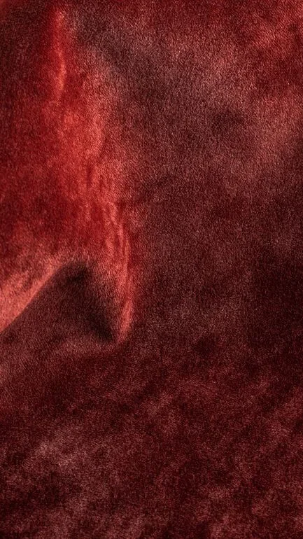 Bonario Amber Upholstery Fabric - 200