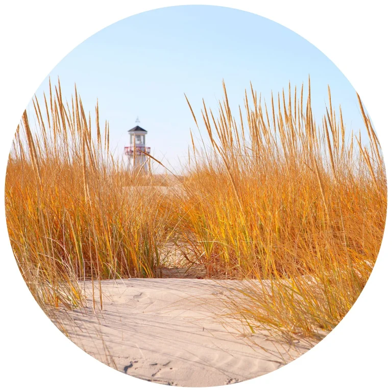 Lighthouse in The Dunes - Wall Mural 5538 - Round - 144cm diameter — Ảnh 2