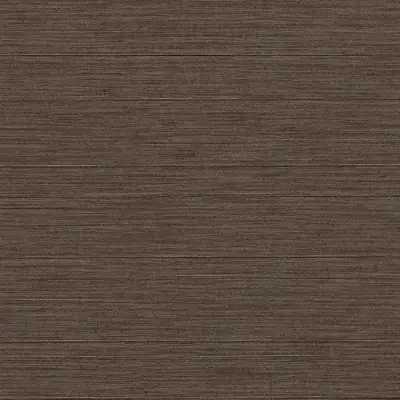 Vinyl Thai Silk