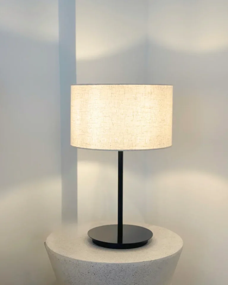 DISC TABLE LAMP — Ảnh 3
