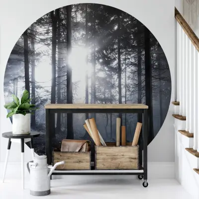 Sunshine In The Woods - Wall Mural 5533 - Round - 144cm diameter