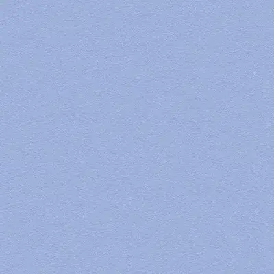 The Basic - Blue Tone