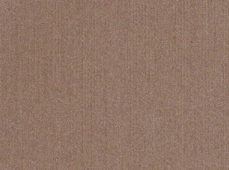 Vertical Starlight 20020113