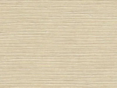 Stripe Sequin Weaving 20020720