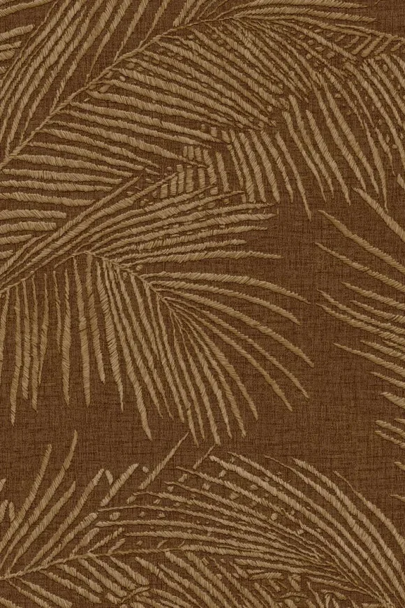 Maui Walnut — Image 2