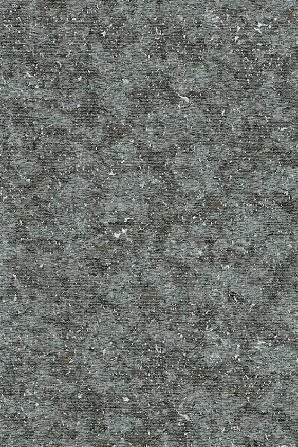 Bearded Leopard Fossil Grey — Ảnh 2