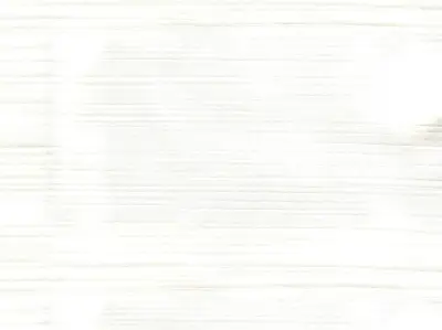 Silk 210501-2