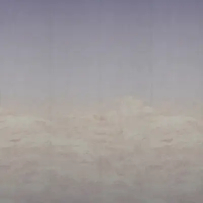 Digital Murals Butterfly Sky