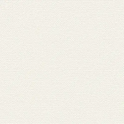 The Basic - White Beige Tone PT.02