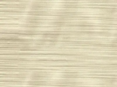 Silk 210501-9