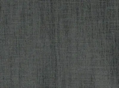 Starlight Fiber — 20050501