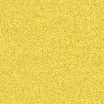 The Basic - Yellow Orange Tone