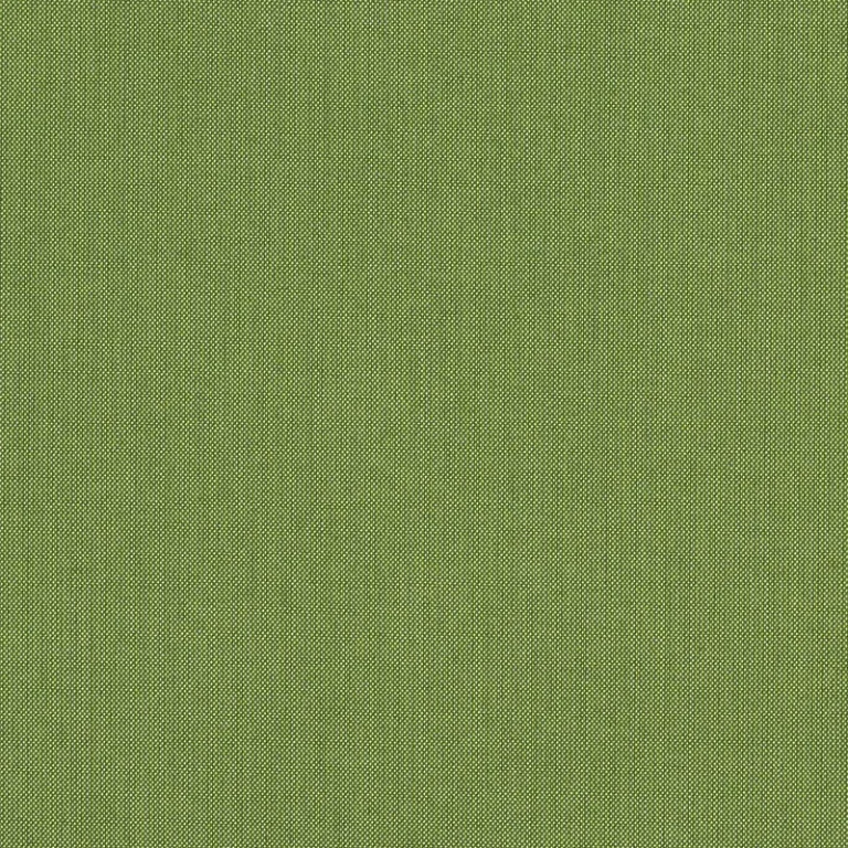 SPECTRUM CILANTRO