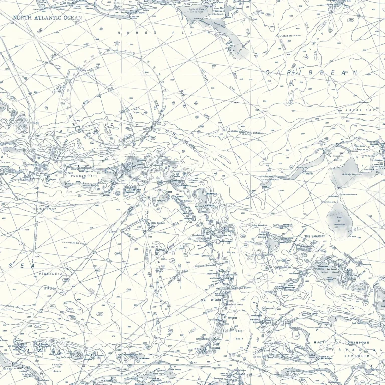 Chesapeake Charts Map Wallpaper - Navy — Image 3