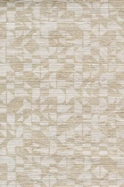 Cyperus — Shell White