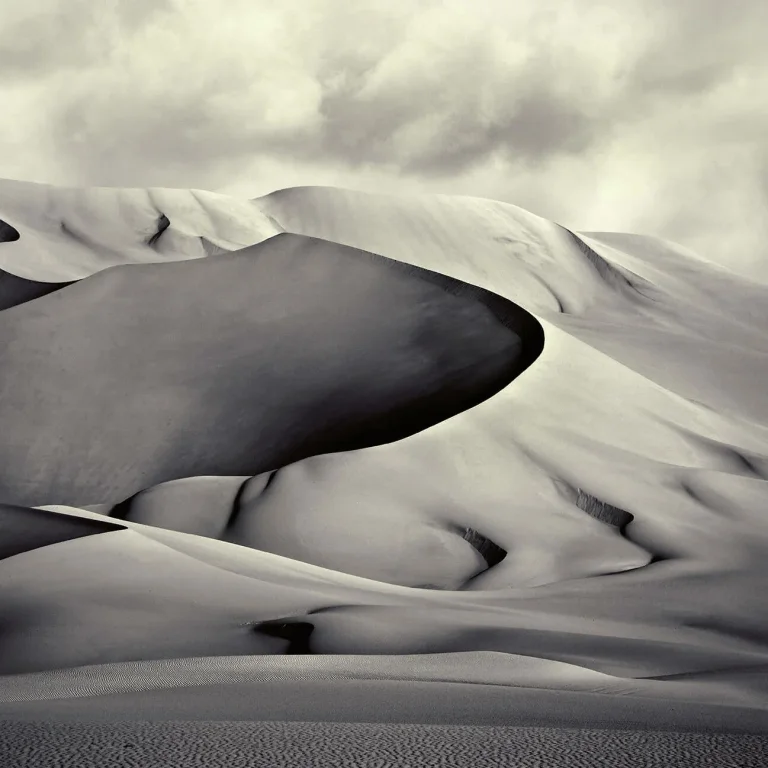 Desert - Wall Mural 5127 - 8 Panel - 384cm x 260cm — Image 2