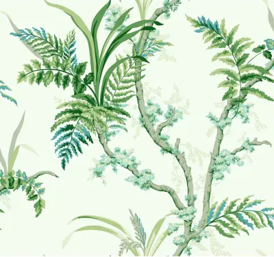 Wild Ferns A00025-01
