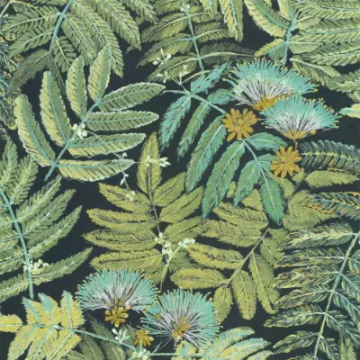 Botanica Albizia