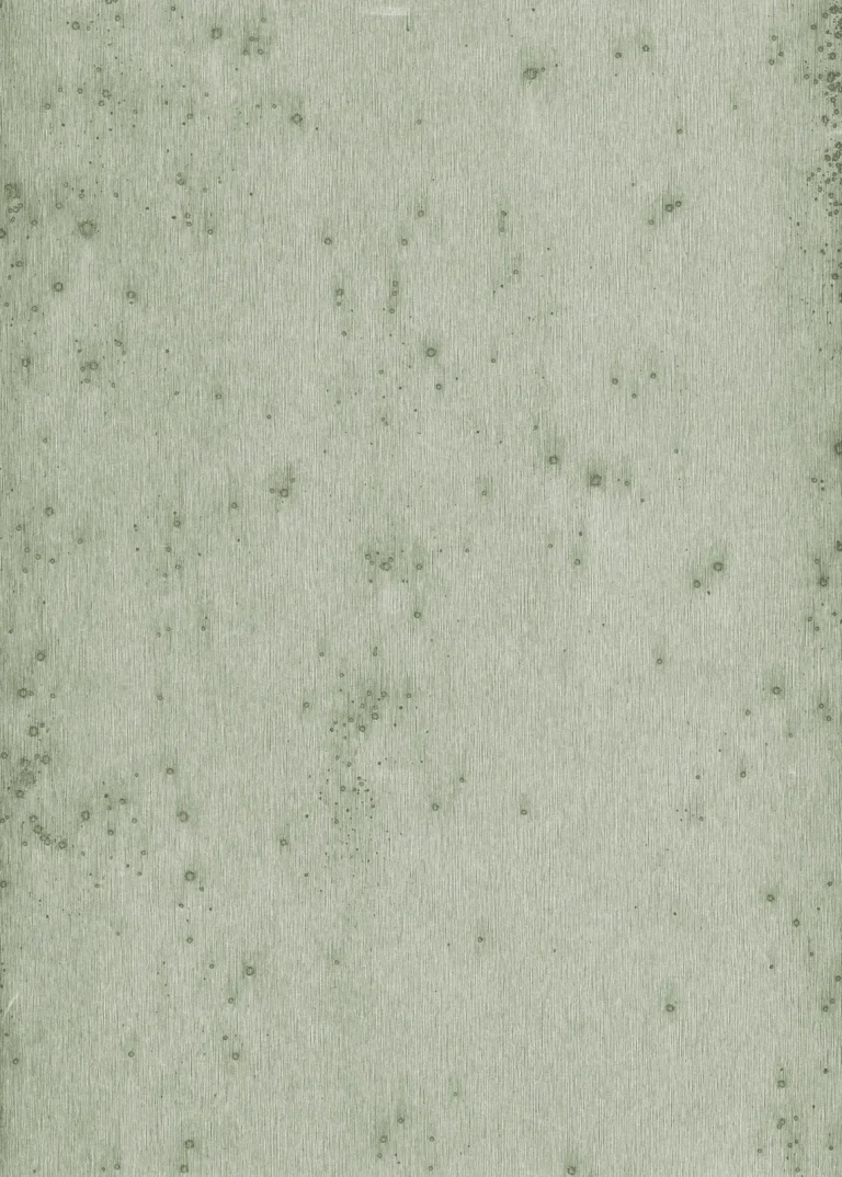 Stellar 37512 — Ảnh 2