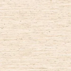 Motas Bone - 73509A — Ảnh 3