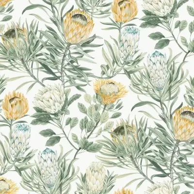 Protea