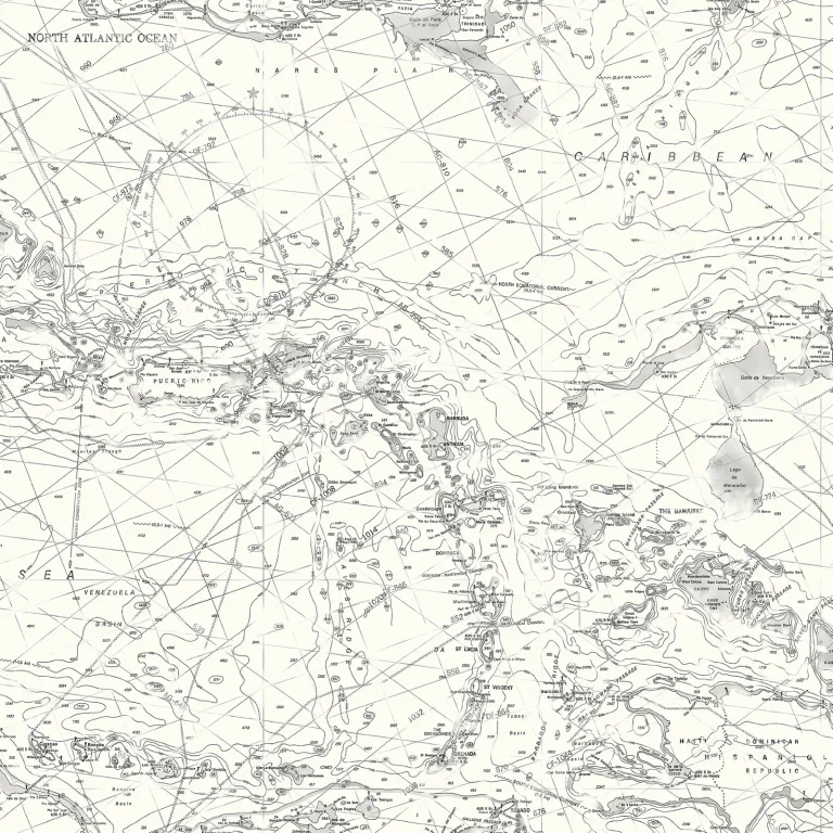 Chesapeake Charts Map Wallpaper - Black