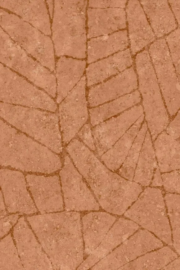 Fragment Tangerine — Ảnh 2