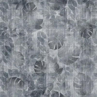 TRANSITION TROPIC — Image 2
