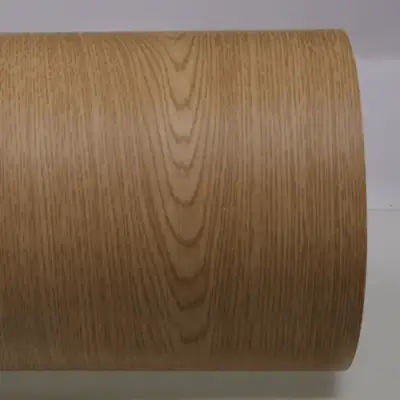 SG58 Ash